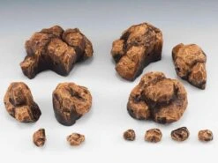 Bandai Tamashii Effect Rock (Beige)